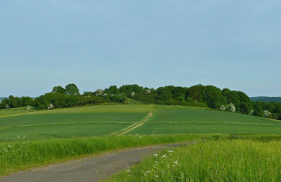 P1040420-Weg nach Odenhausen vom Tanjaberg aus-560 P1040420-Weg nach Odenhausen vom Tanjaberg aus-560