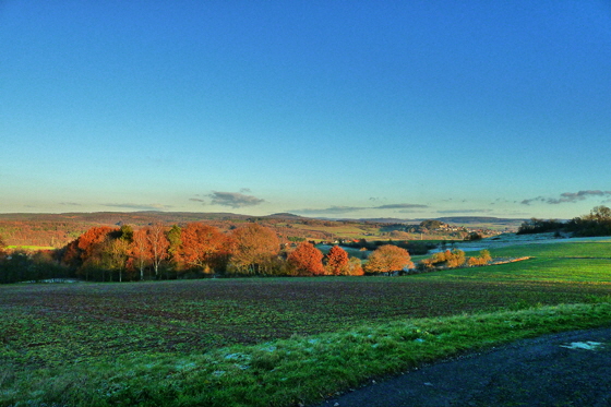 P1050483-Blick vom Tanja-Berg im Spätherbst-560 P1050483-Blick vom Tanja-Berg im Spätherbst-560